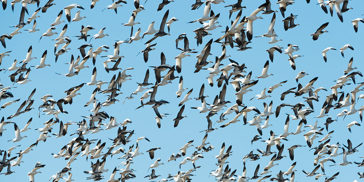 richard-lee-479844 Richard Lee