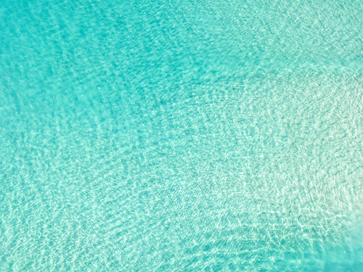 samuel-scrimshaw-661883-unsplash