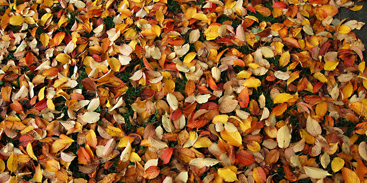 zbysiu-rodak-1057060-unsplash zbysiu-rodak-1057060-unsplash