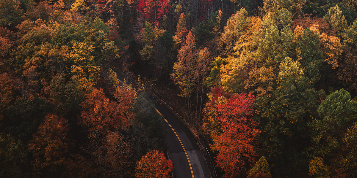 chad-madden-436494-unsplash chad-madden-436494-unsplash